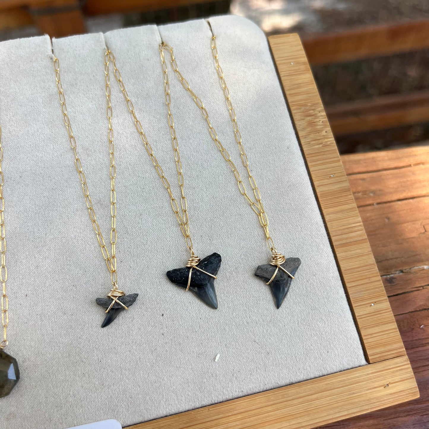 Sharks Tooth Necklace