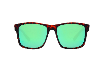 Ryder Sunglasses
